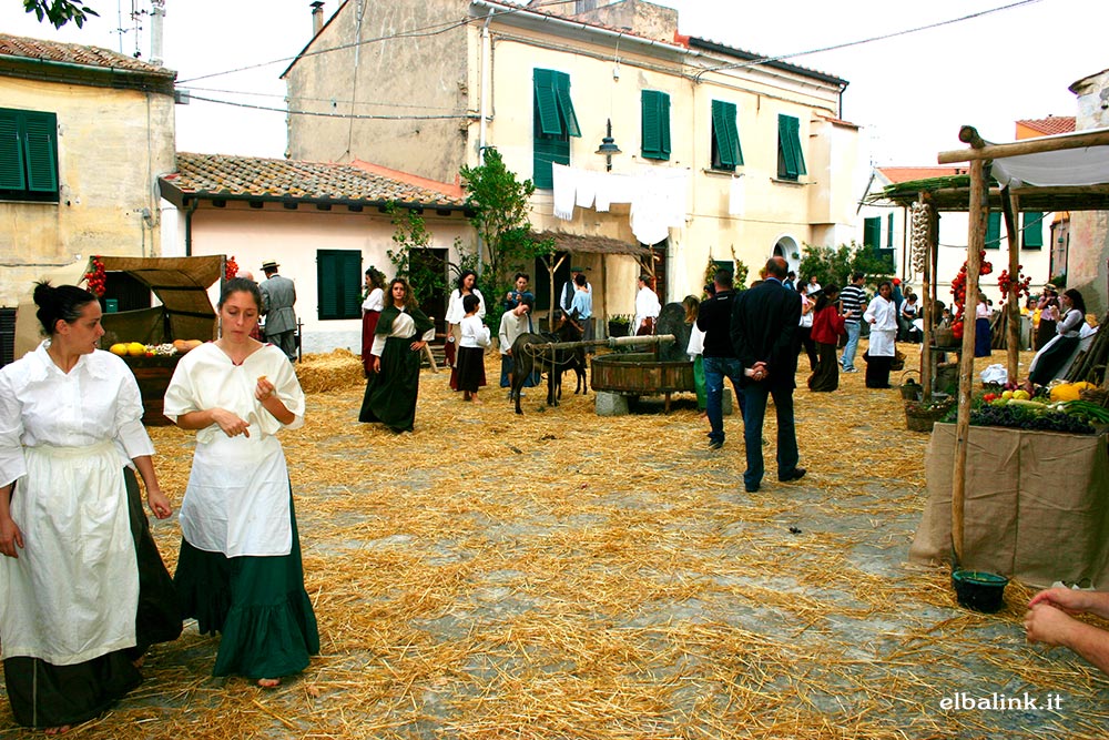 Festa dell'Uva